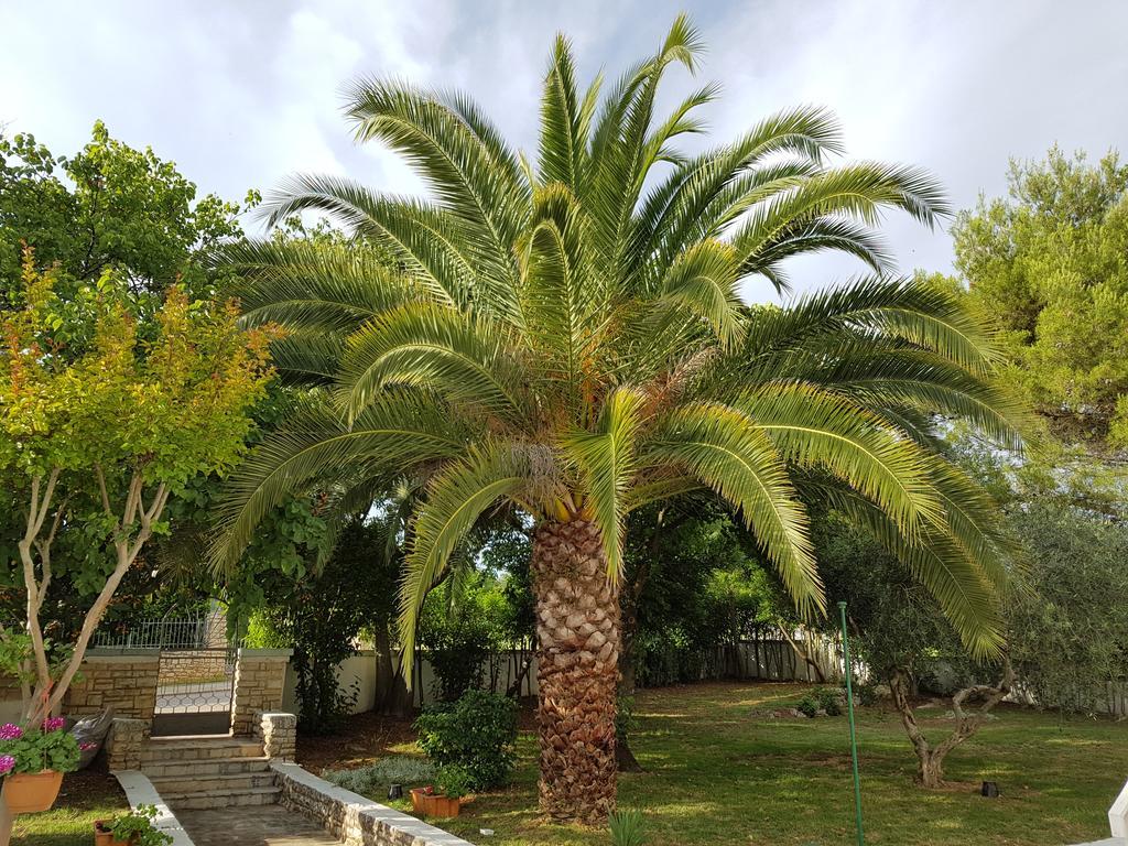 Villa Rosa With Yard And Children'S Playground Tar-Vabriga Exterior foto