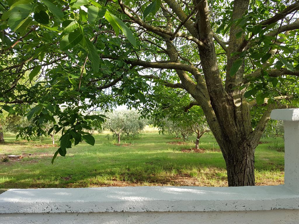 Villa Rosa With Yard And Children'S Playground Tar-Vabriga Exterior foto