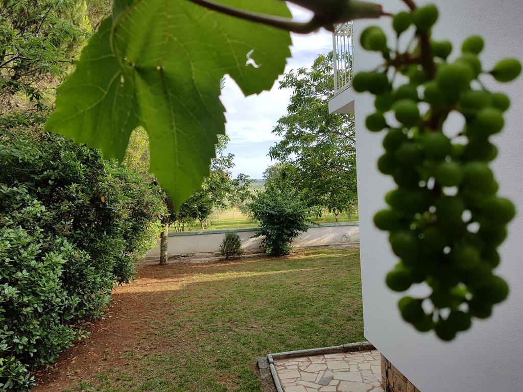 Villa Rosa With Yard And Children'S Playground Tar-Vabriga Exterior foto